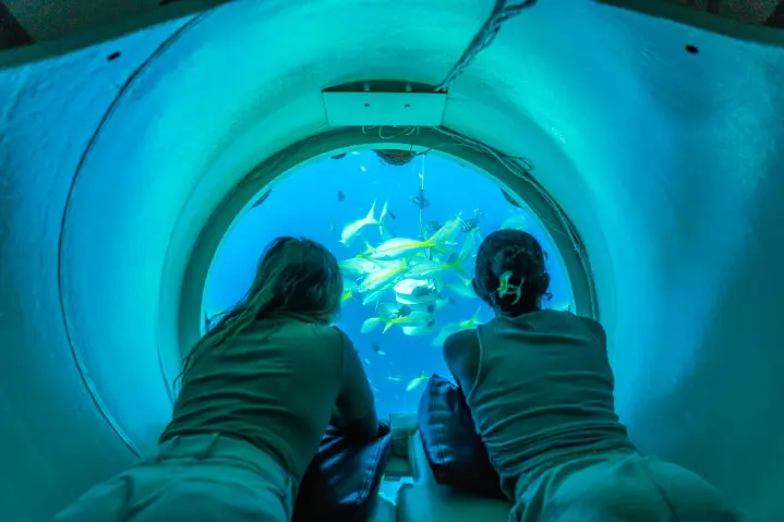 Ocean Lens Rondleiding